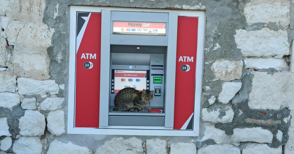 Mačka na bankomatu u Rogoznici