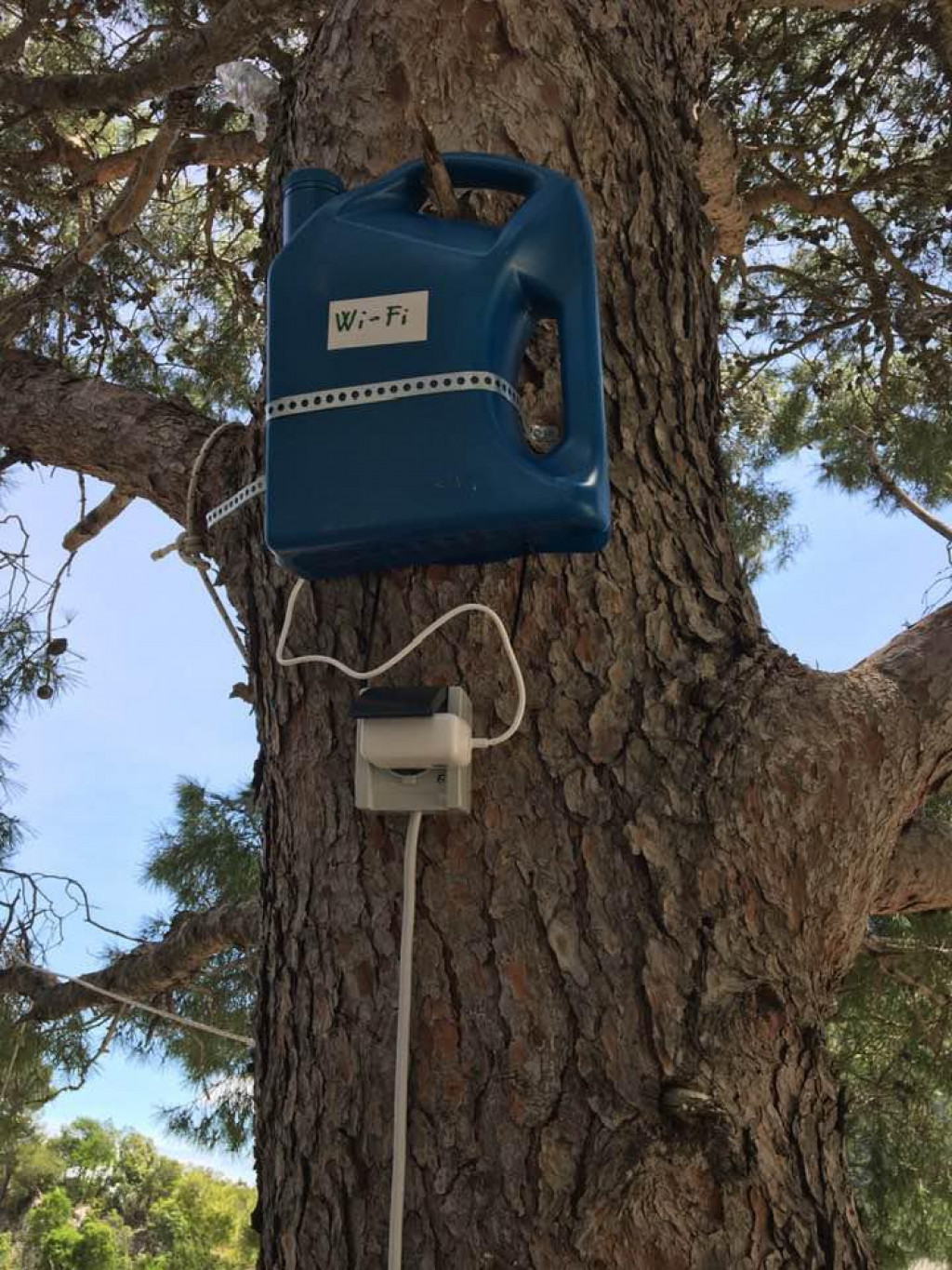 Wi-fi router u kanti na boru