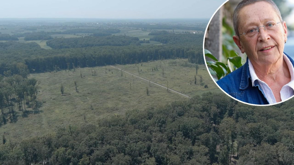 Nemamo podatke koliko su šuma razvalili od 2019. do danas, ali već na prvu, pregledom terena i snimaka, podaci bi mogli biti zastrašujući, kaže Vesna Grgić