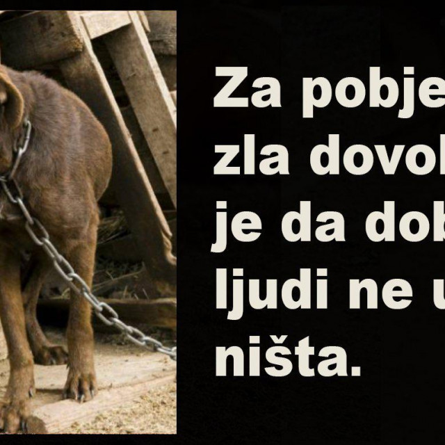 Nastavlja se potpisivanje peticije za zabranu držanja pasa na lancu