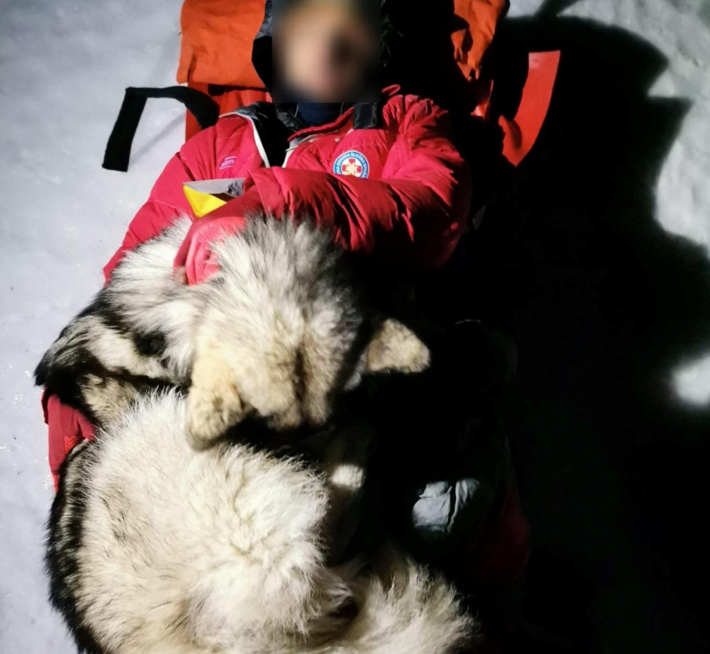 Pas je svojim tijelom cijelu noć grijao ozlijeđenog planinara