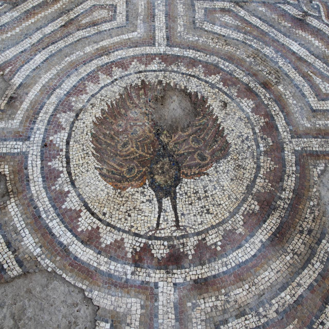 Prikaz pauna koji je bio kršćanski simbol Krista na mozaiku u Saloni