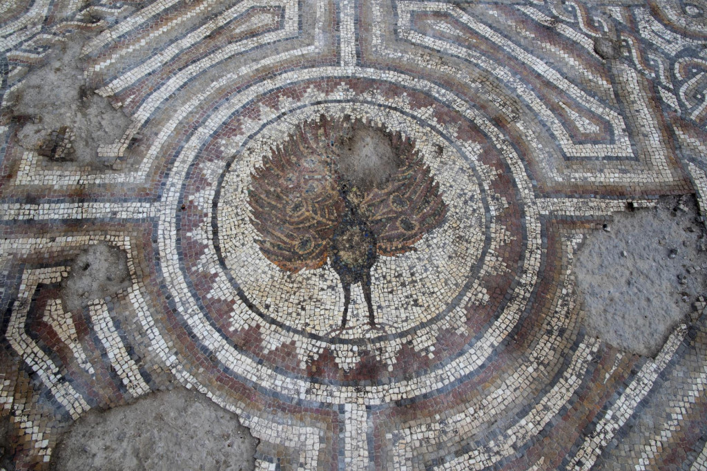 Prikaz pauna koji je bio kršćanski simbol Krista na mozaiku u Saloni