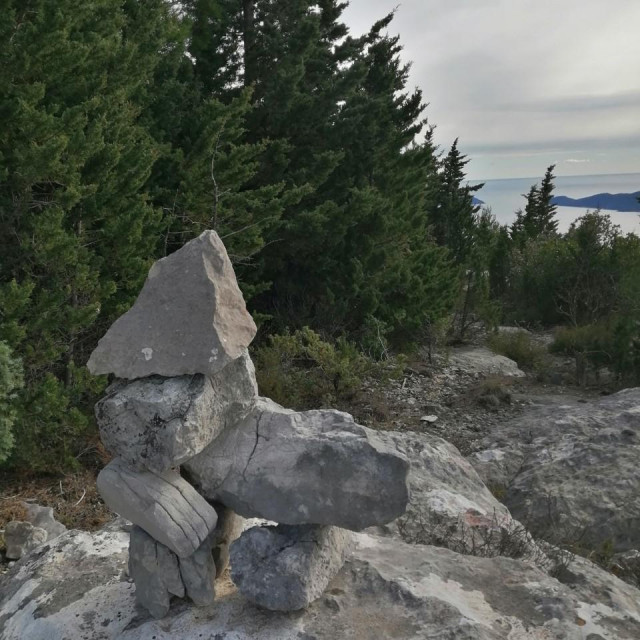 Skulptura od kamena koja podsjeća na psa 