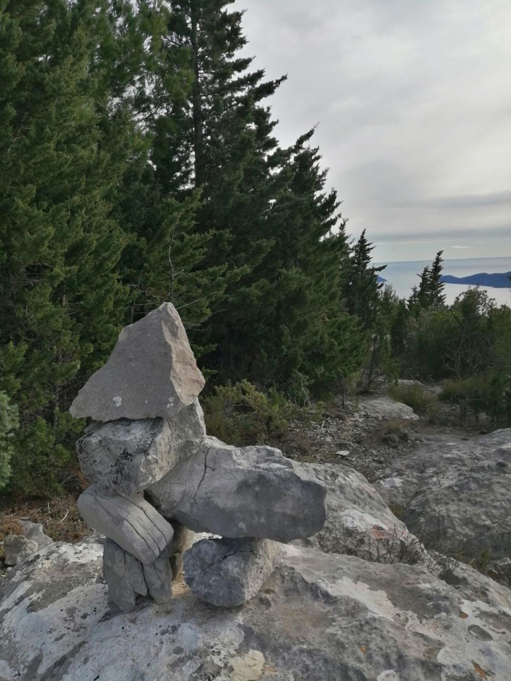 Skulptura od kamena koja podsjeća na psa 