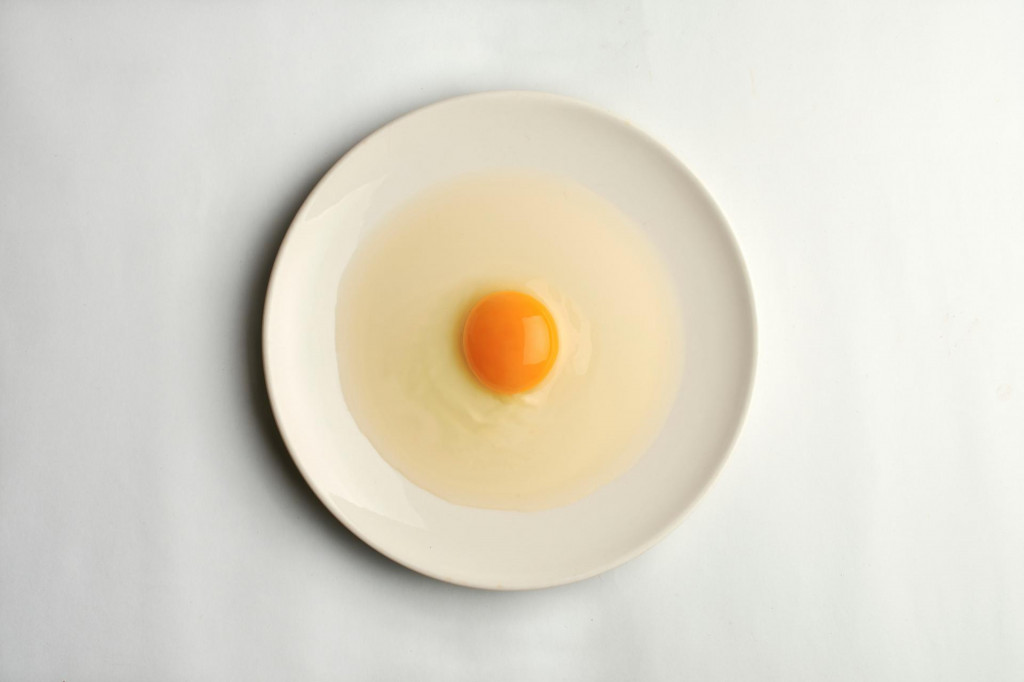 Raw egg on a plate