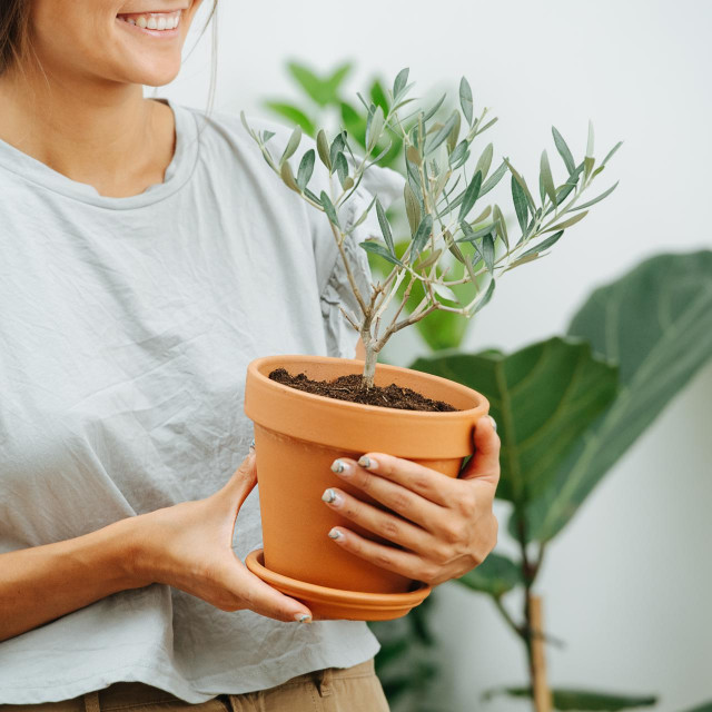 &lt;p&gt;Happy young woman in the living room with potted plant in hands. Cropped, half of the face&lt;/p&gt;
