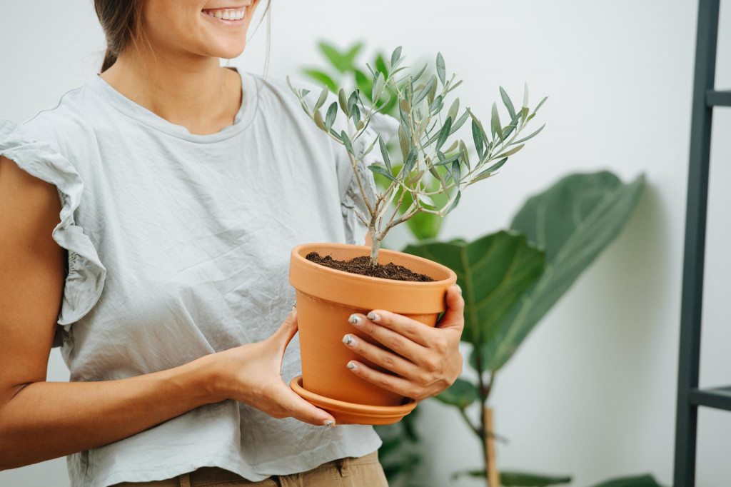 &lt;p&gt;Happy young woman in the living room with potted plant in hands. Cropped, half of the face&lt;/p&gt;
