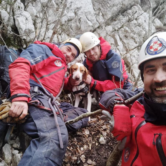 Zahvaljujući pripadnicima HGSS stanice Orebić, spašen je i drugi pas