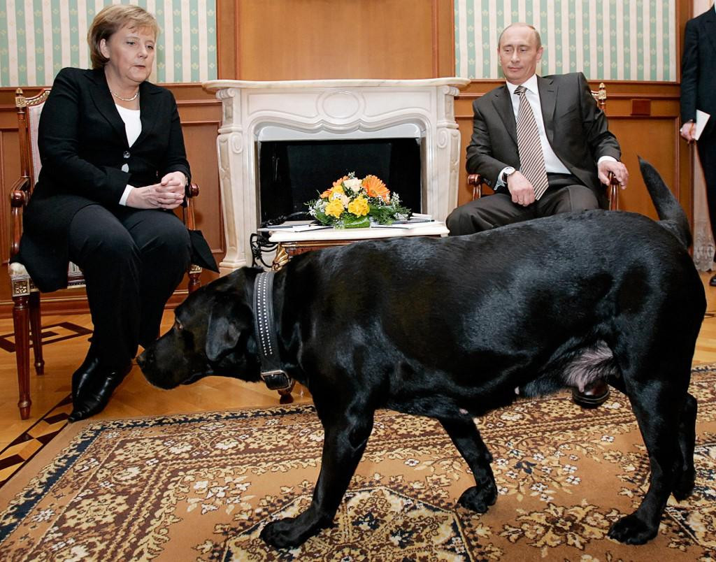 Putin, Merkel i labradorica Koni  