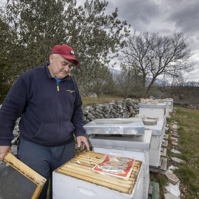 &lt;p&gt;Branko Bajan Jale dohranjuje pčele šećernom pogačicom&lt;/p&gt;
