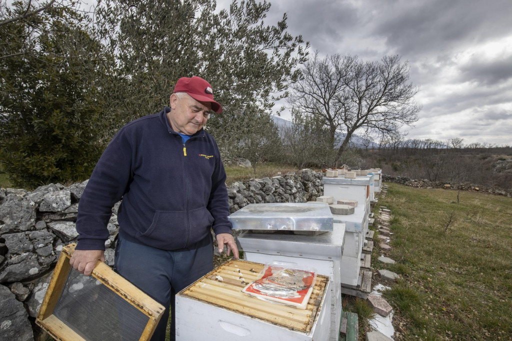 &lt;p&gt;Branko Bajan Jale dohranjuje pčele šećernom pogačicom&lt;/p&gt;
