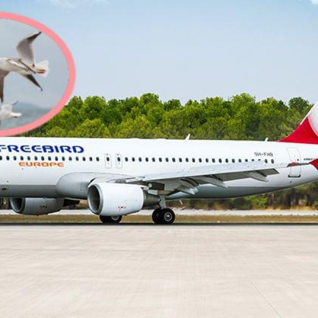 &lt;p&gt;Freebirdov zrakoplov imao je bliski susret s pticama&lt;/p&gt;
