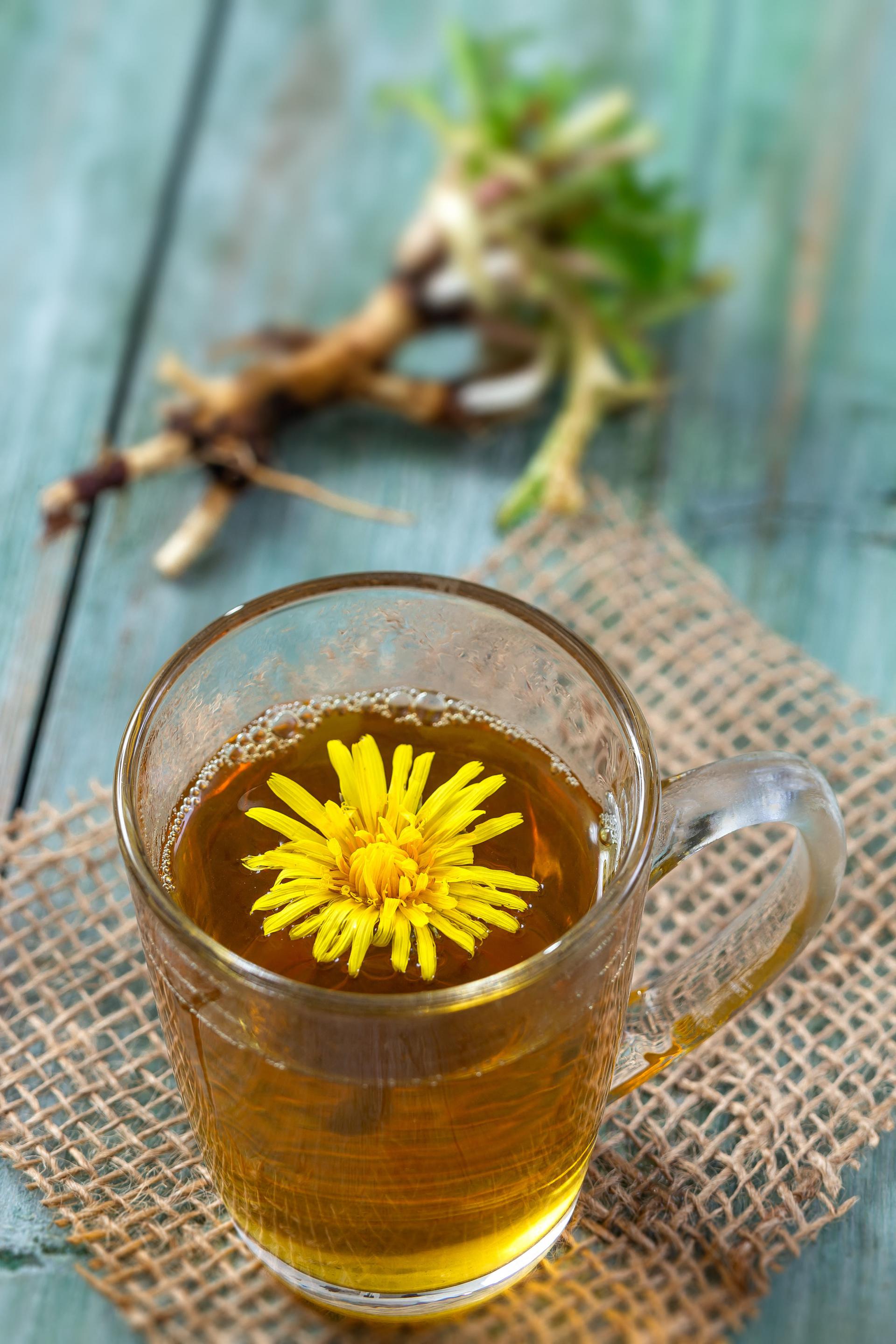 Польза чая из одуванчиков цветков. Одуванчик чай. Корень одуванчика чай. Чай из одуванчика IHERB. Чай из цветков одуванчика заготовка.
