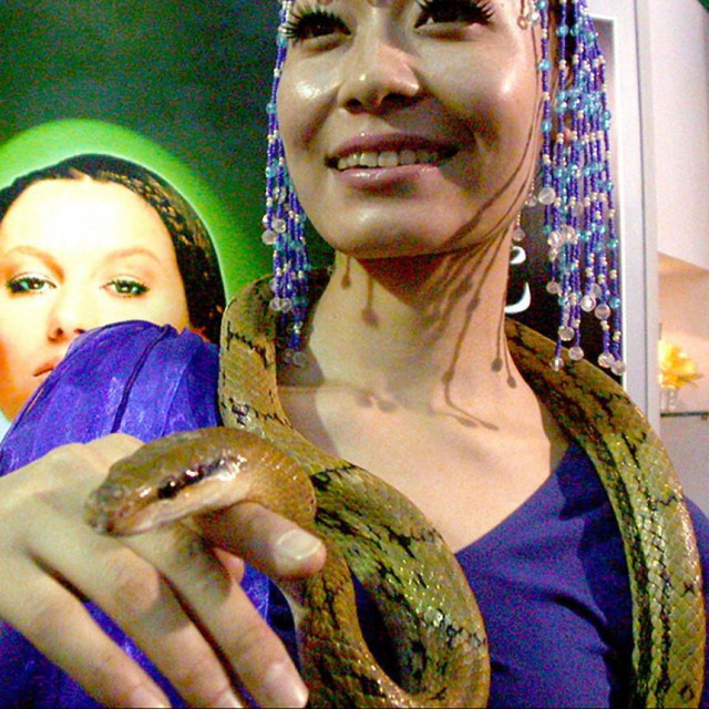 &lt;p&gt;KIneski model pozira sa Chinese beauty snake&lt;/p&gt;
