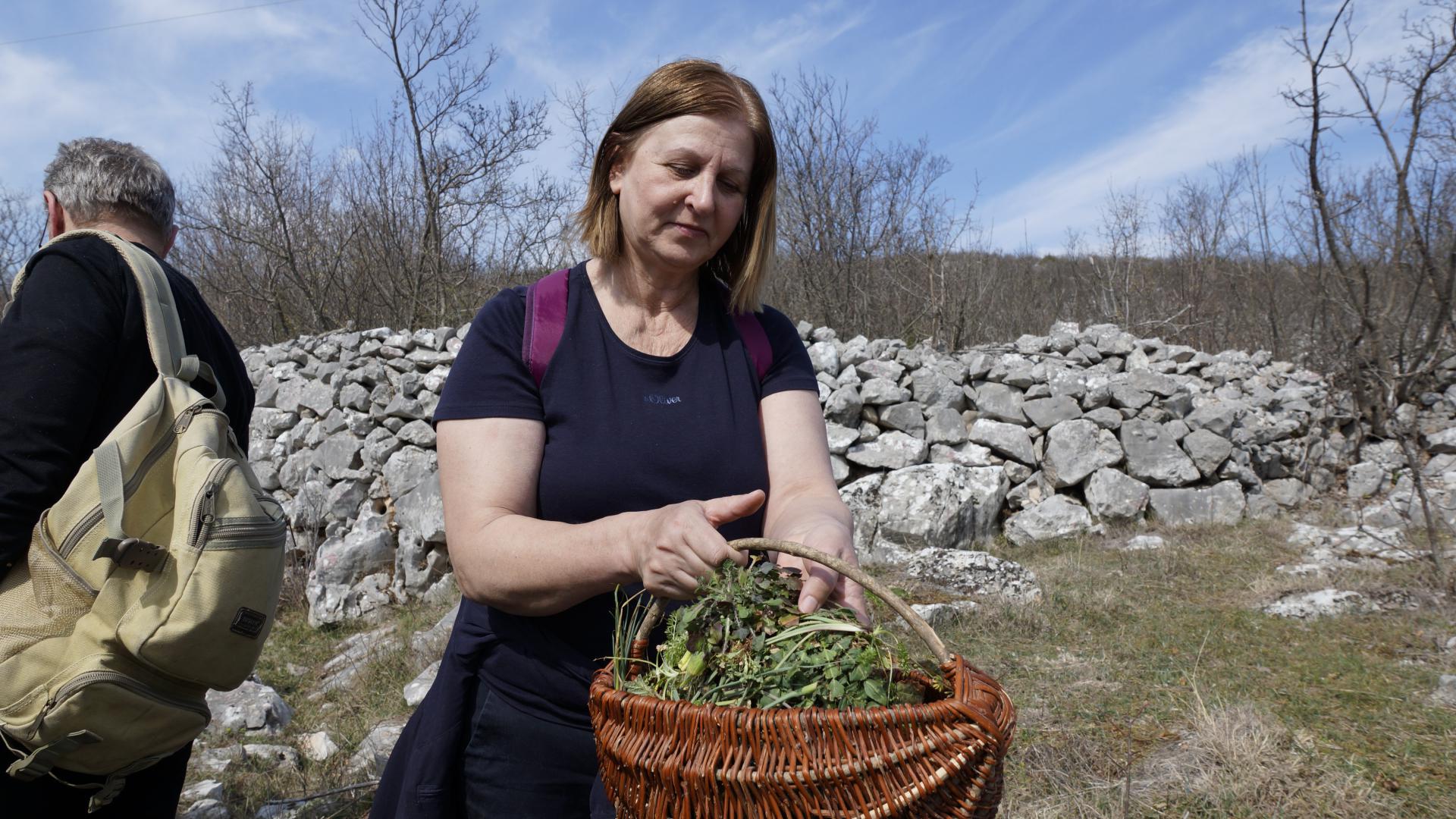 Slobodna Dalmacija Jeste Li Uli Za Lucinu Picu I Ma Je Mudo Znate Li Da Oko Nas Raste Pravo