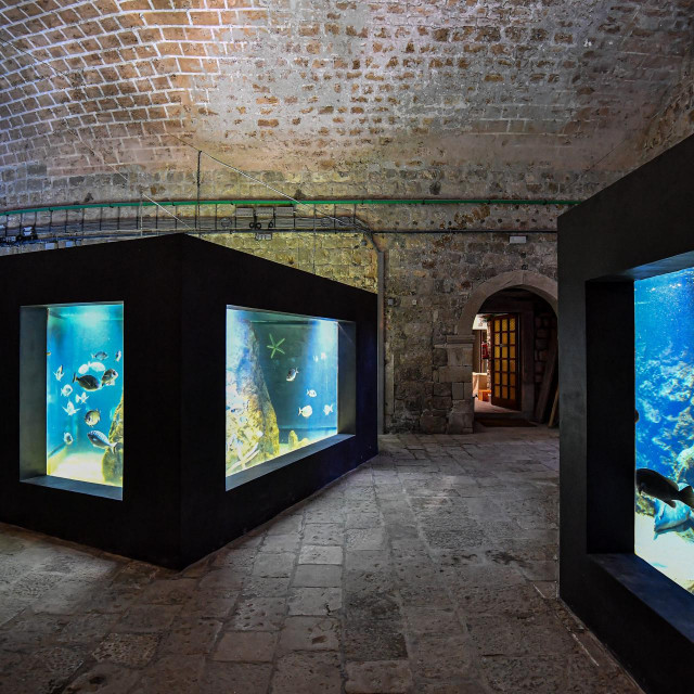 &lt;p&gt;Specijal DV&lt;br /&gt;
Dubrovnik, 140122.&lt;br /&gt;
Preuredjen Dubrovacki akvarij koji se nalazi u staroj gradskoj luci, u srednjovjekovnoj tvrdjavi sv. Ivana.&lt;br /&gt;