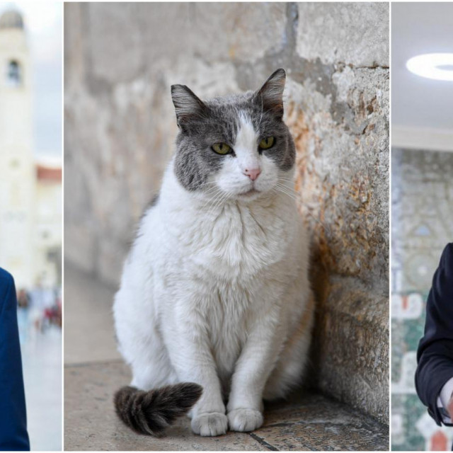&lt;p&gt;Gradonačelnike Dubrovnika i Istanbula dodatno je zbližila maca Anastazija&lt;/p&gt;