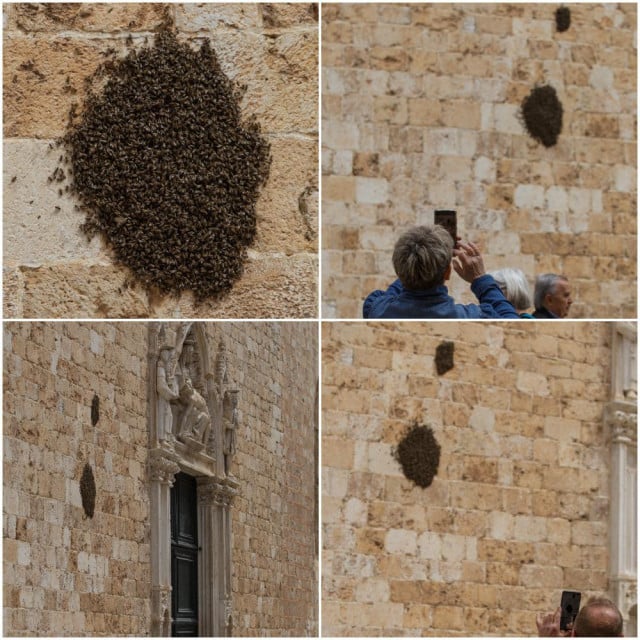 &lt;p&gt;roje se pčele na zidu franjevačke crkve&lt;/p&gt;