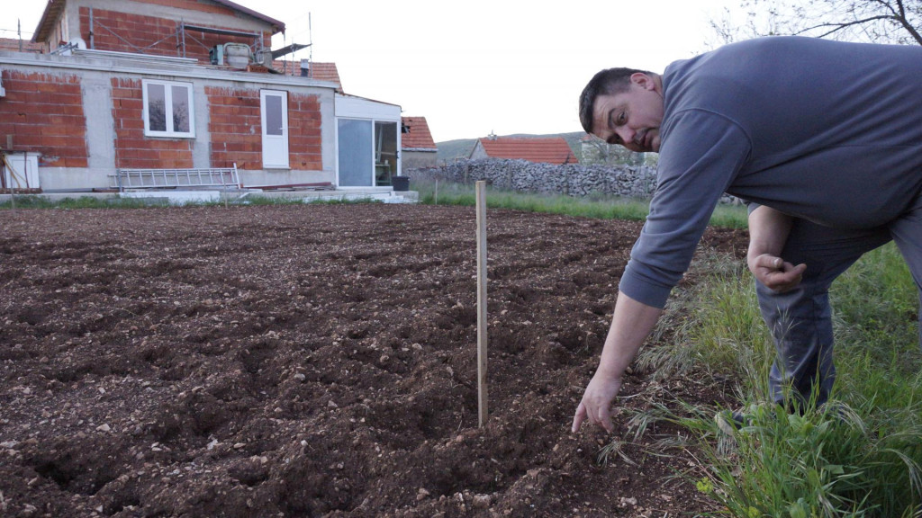&lt;p&gt;’Pogledajte kako su izrovale vrt mojeg kuma Nedjeljka’, ističe Ivan Zelić&lt;/p&gt;