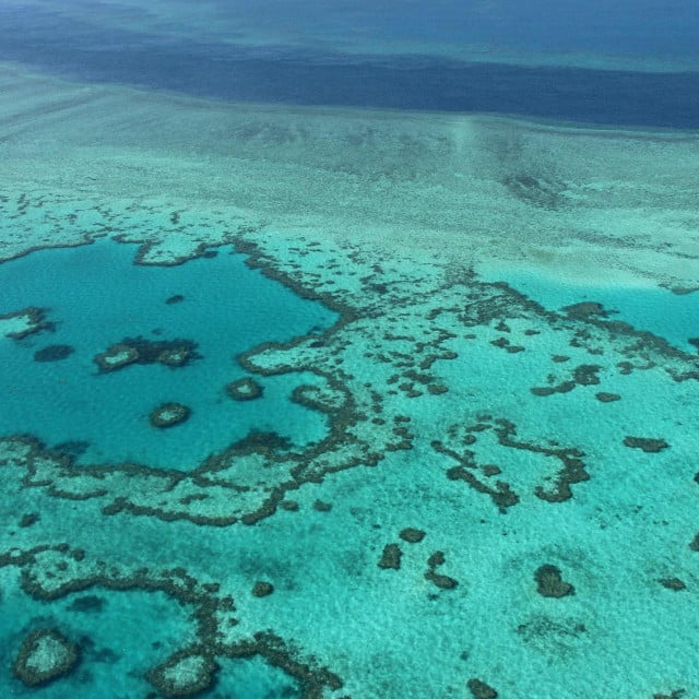 &lt;p&gt;Veliki koraljni greben na području australske države Queensland&lt;/p&gt;