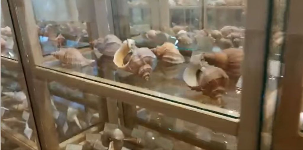 &lt;p&gt;U Cavtatu je otvoren Muzej morskih školjaka&lt;/p&gt;