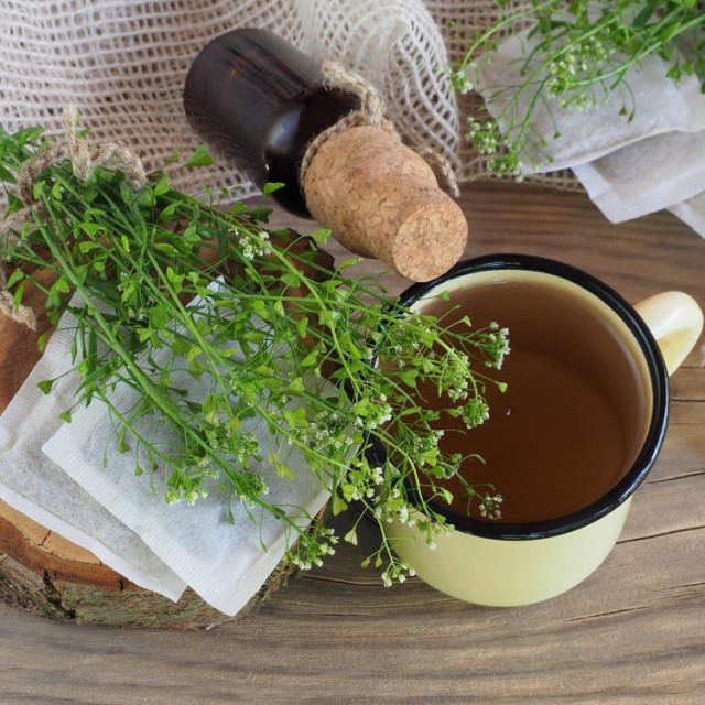 <p>Rusomača - Capsella bursa-pastoris</p>