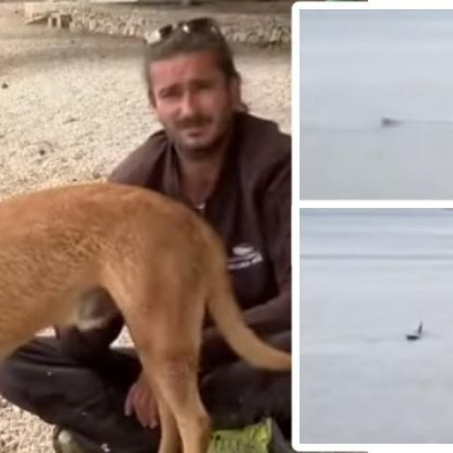 &lt;p&gt;Saša Čubrić, vlasnik labradora Mora koji je hrabro skočio u more da se upozna s morskim psom&lt;/p&gt;