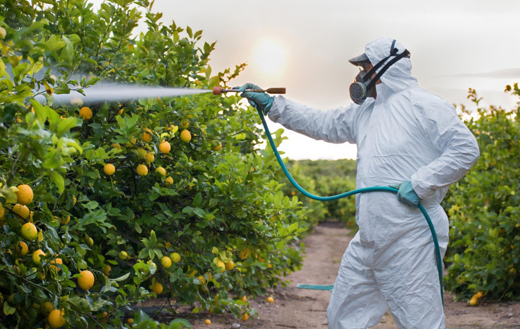 &lt;p&gt;Korištenje pesticida i herbicida u stalnom je porastu&lt;/p&gt;