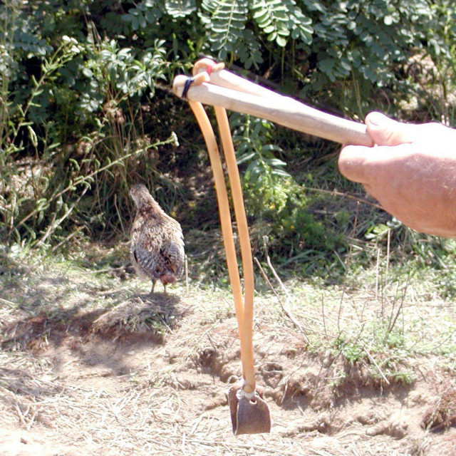 &lt;p&gt;Lov na fazana pračkom, sličnom pračkom je lovio krivolovac u blizini zelendvora&lt;br /&gt;
Željko Hajdinjak&lt;br /&gt;
 &lt;/p&gt;