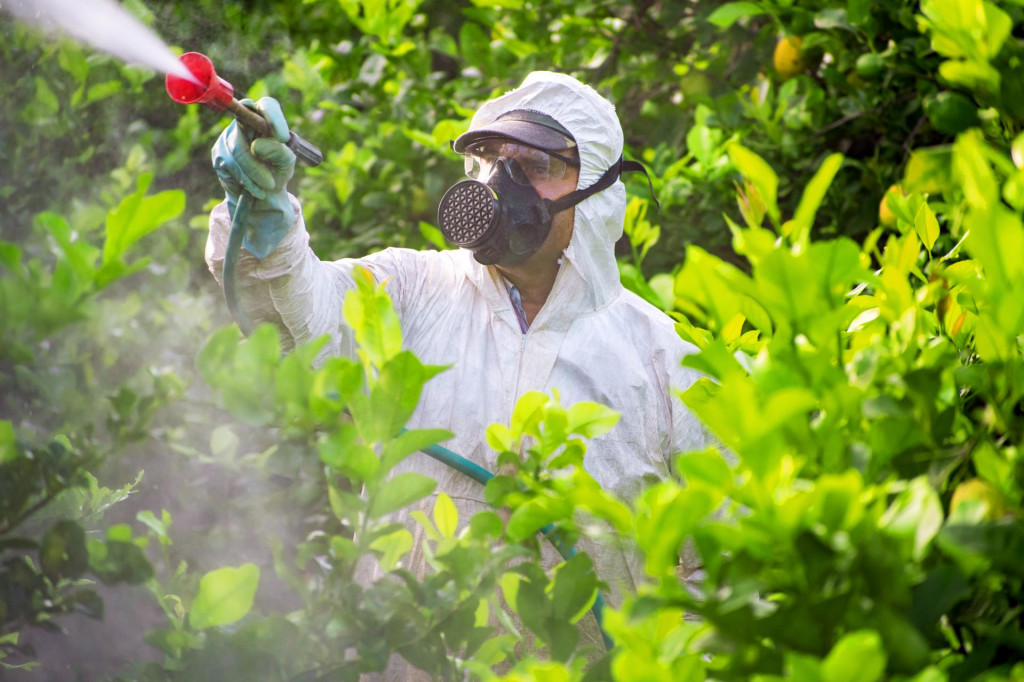 &lt;p&gt;Prskanje limuna pesticidima na farmi u Španjolskoj&lt;/p&gt;