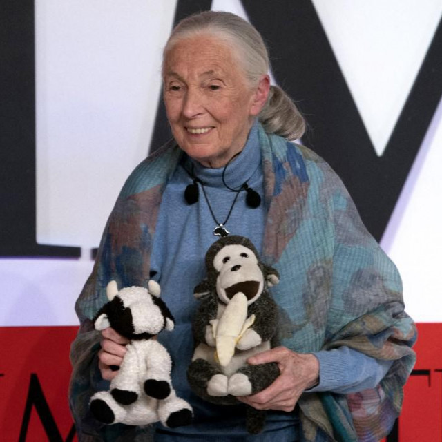 &lt;p&gt;Primatologinja Jane Goodall&lt;/p&gt;