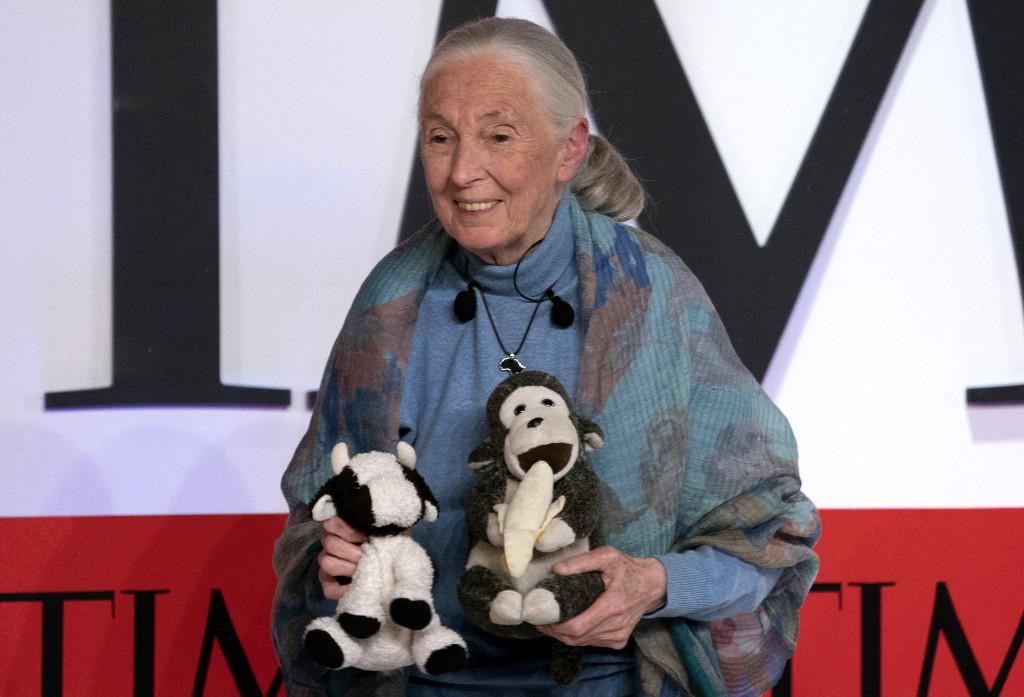 &lt;p&gt;Primatologinja Jane Goodall&lt;/p&gt;