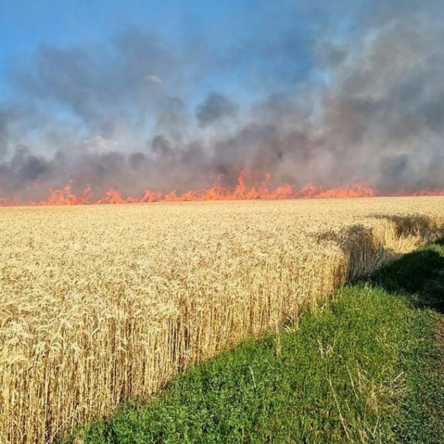 &lt;p&gt;Ukrajinska žitna polja u plamenu: slijedi li zamrzavanje rata?&lt;/p&gt;