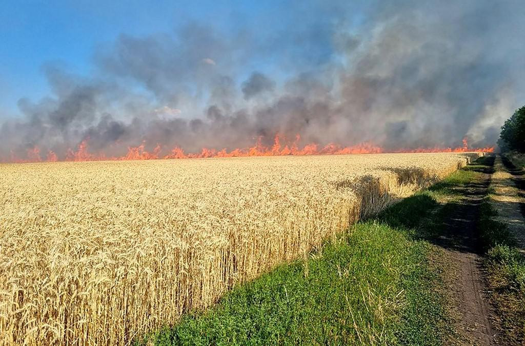 &lt;p&gt;Ukrajinska žitna polja u plamenu: slijedi li zamrzavanje rata?&lt;/p&gt;