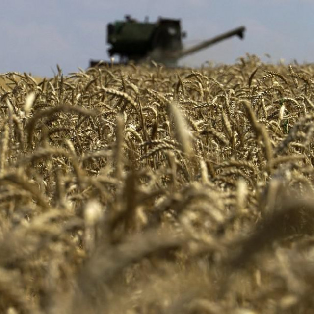 &lt;p&gt;Umjesto dogovora o izvozu ukrajinskog žita, Rusi ubijaju &lt;/p&gt;