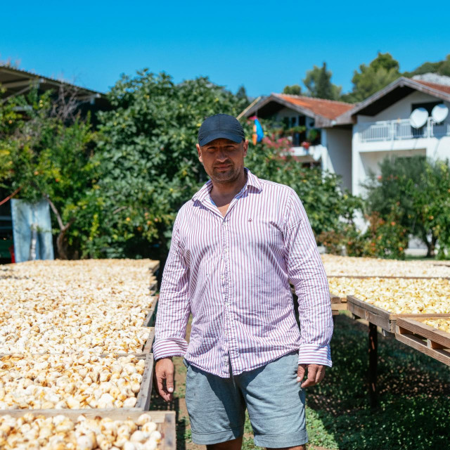 &lt;p&gt;Tomo Ostojić, najveći uzgajivač smokava u Dalmaciji&lt;/p&gt;