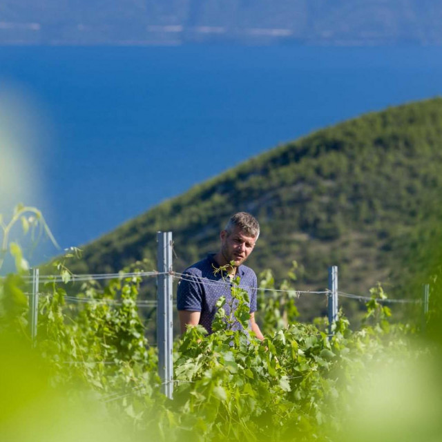 &lt;p&gt;Juraj Vujnović u svojem vinogradu na predjelu Mrtinovik, između Bogomolja i Sućurja&lt;/p&gt;