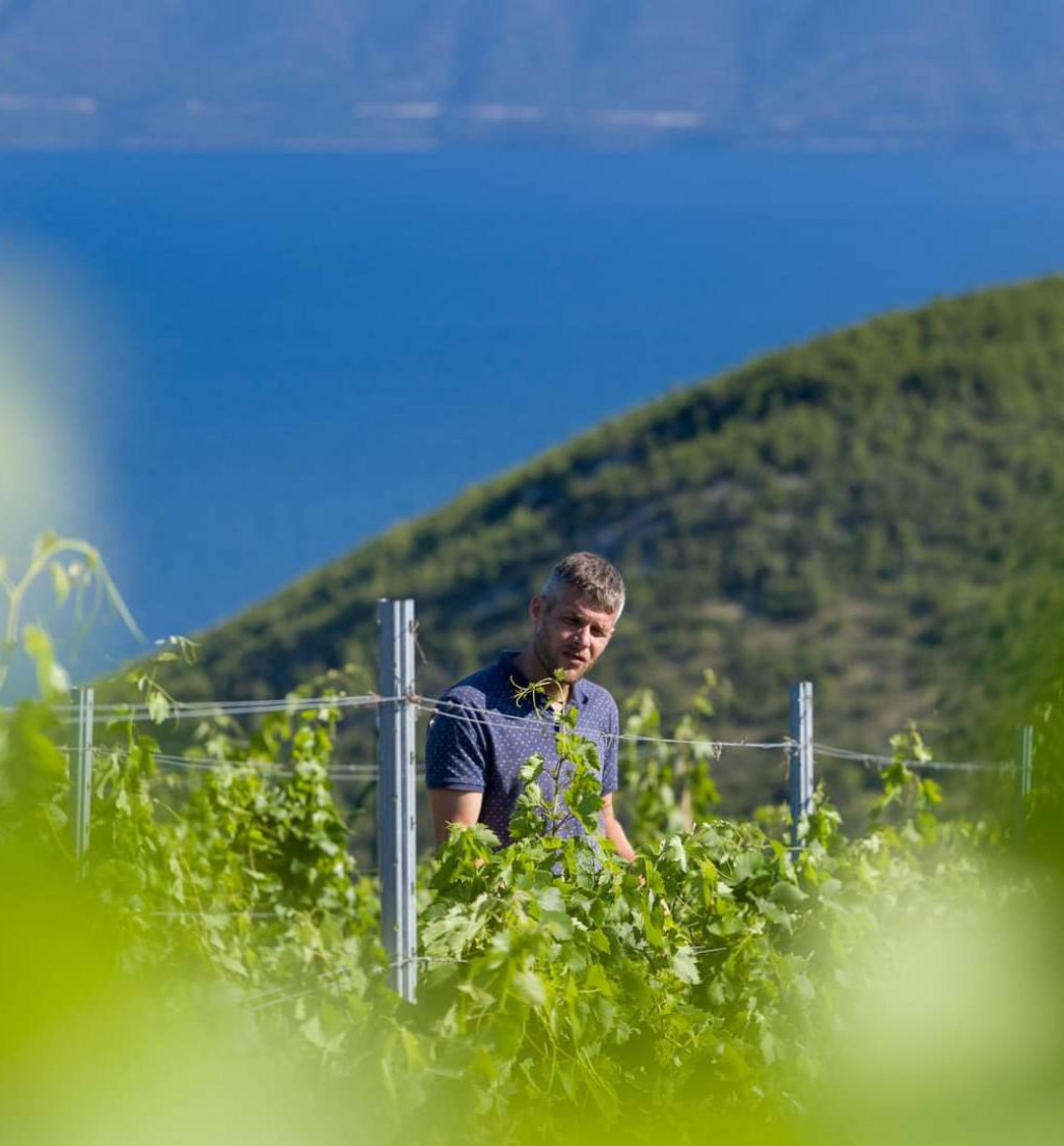 &lt;p&gt;Juraj Vujnović u svojem vinogradu na predjelu Mrtinovik, između Bogomolja i Sućurja&lt;/p&gt;