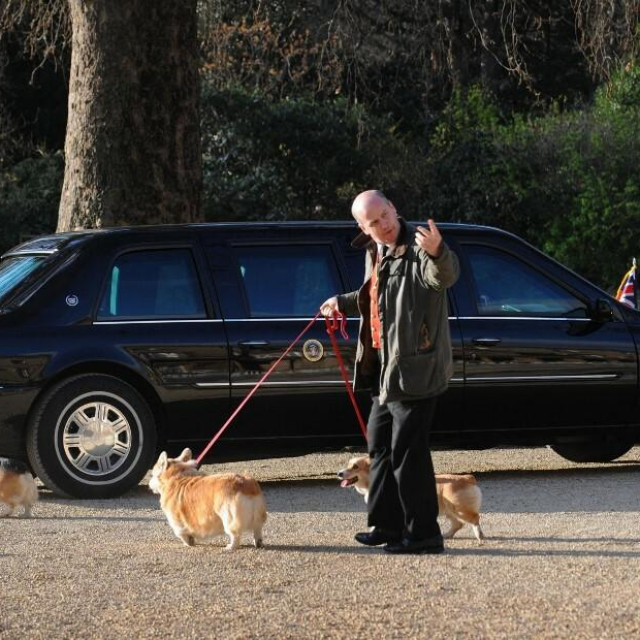 &lt;p&gt;Dok je američki predsjednik Barach Obama bio na sastanku s  kraljicom u Buckinghamskoj palači u Londonu 1. travnja 2009., kraljičini korgiji izvedeni su u šetnju u blizini predsjedničkog automobila&lt;/p&gt;