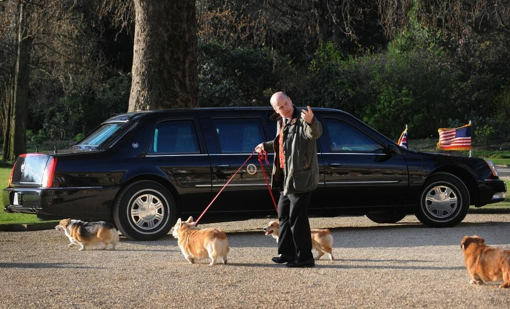 &lt;p&gt;Dok je američki predsjednik Barach Obama bio na sastanku s  kraljicom u Buckinghamskoj palači u Londonu 1. travnja 2009., kraljičini korgiji izvedeni su u šetnju u blizini predsjedničkog automobila&lt;/p&gt;