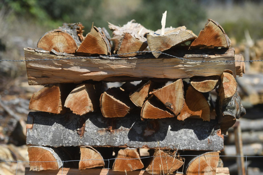 &lt;p&gt;Zadar, 120922.&lt;br&gt;
U Zadru su velike liste cekanja za drva, jer se velika kolicina izvozi u Italiju. Cijena za metar drva je oko 800 kuna.&lt;br&gt;