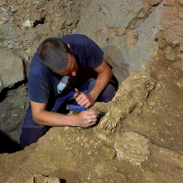 &lt;p&gt;Istraživanje pećine Vlakno na Dugom otoku, pronađen kostru glave konja star 17.000 godina&lt;/p&gt;