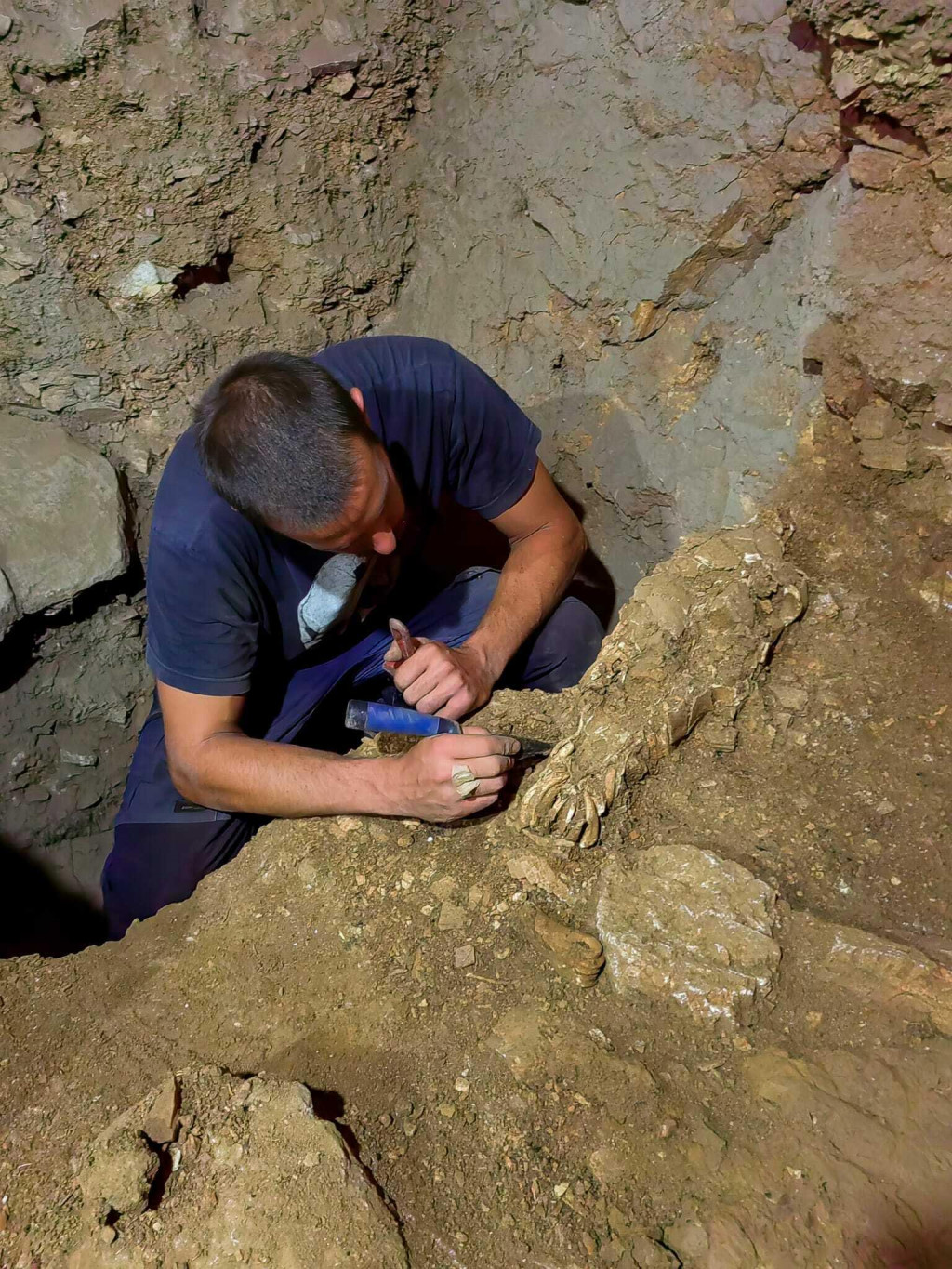 &lt;p&gt;Istraživanje pećine Vlakno na Dugom otoku, pronađen kostru glave konja star 17 tisuća godina&lt;/p&gt;