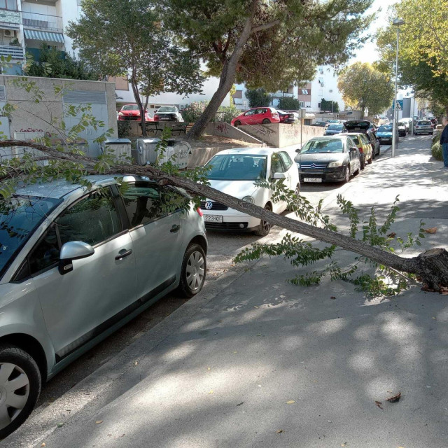 &lt;p&gt;Srušilo se stablo na parkiran automobil&lt;/p&gt;