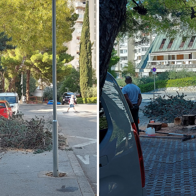&lt;p&gt;Posječeno je nakrivljeno stablo u Šižgorićevoj ulici&lt;/p&gt;