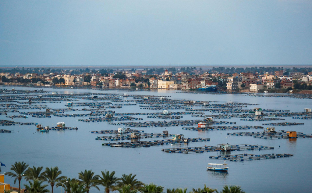 &lt;p&gt;(FILES) This file photo taken on October 24, 2019, shows a view of a floating fish farm by the city of Rosetta on the Rosetta branch of the Nile river delta in Egypt‘s northern Beheira Governorate, some 55Km northeast of Alexandria. - The Pharaohs worshipped it as a god, the eternal bringer of life, but the clock is ticking on the Nile. Climate change, pollution and exploitation by man is putting existential unsustainable pressure on the world‘s second longest river on which millions of Africans depend. (Photo by Khaled DESOUKI/AFP)&lt;/p&gt;