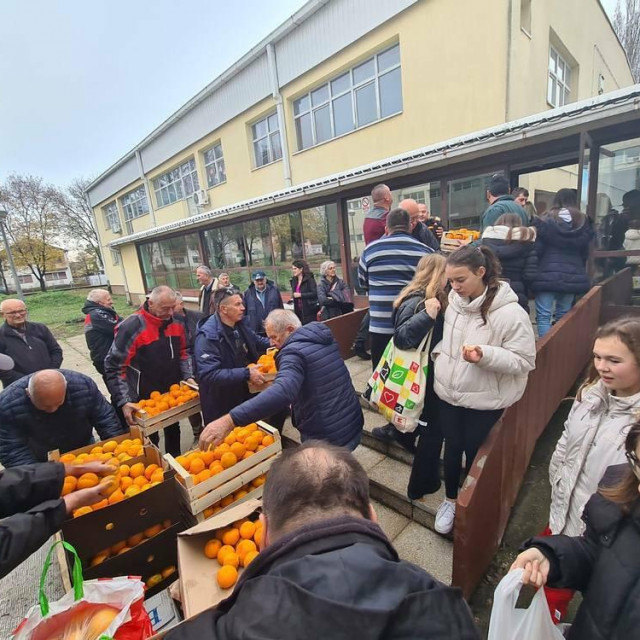 &lt;p&gt;Pločanski branitelji dijele mandarine u Vukovaru i Borovu naselju&lt;/p&gt;