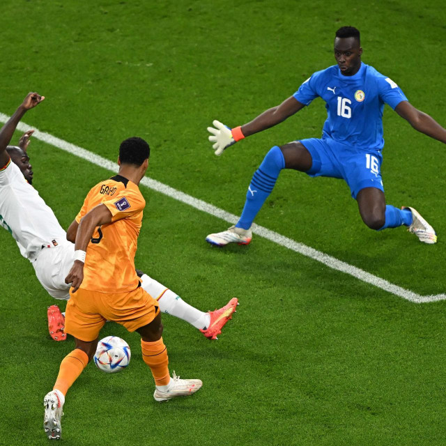 &lt;p&gt;Senegal‘s defender #03 Kalidou Koulibaly (C) fights for the ball with Netherlands‘ forward #08 Cody Gakpo (C) as Senegal‘s goalkeeper #01 Edouard Mendy during the Qatar 2022 World Cup Group A football match between Senegal and the Netherlands at the Al-Thumama Stadium in Doha on November 21, 2022. (Photo by MANAN VATSYAYANA/AFP)&lt;/p&gt;