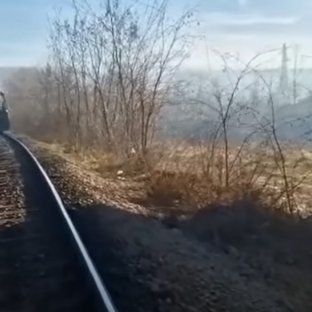 24049530